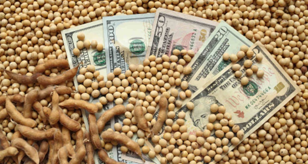 Cobrança de Royalties entra na mira do Congresso em meio a críticas de produtores