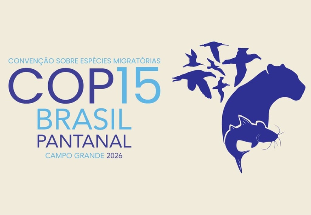 Congresso Nacional valida acordo para realização da COP15 no Brasil