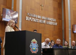 ALMT debate soluções para regularização fundiária e moradia de famílias do Silvanópolis e Paraisópolis